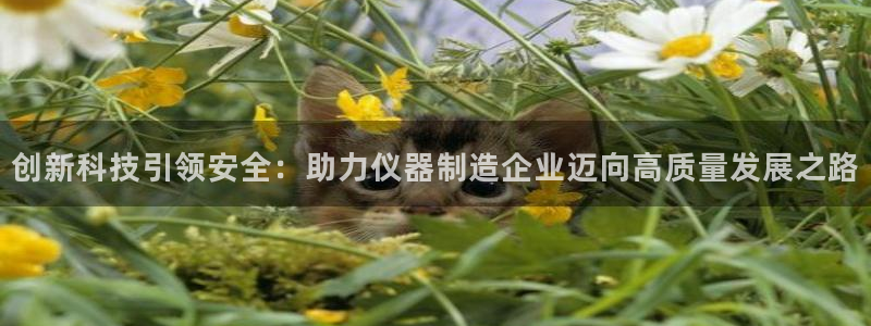 cq9传奇电子的由来：创新科技引领安全：助力仪器制造企业迈向