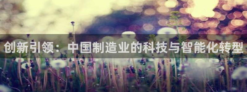cq9电子游戏网站