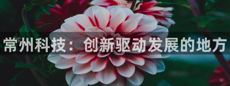 cq9电子试玩下载：常州科技：创新驱动发展的地方