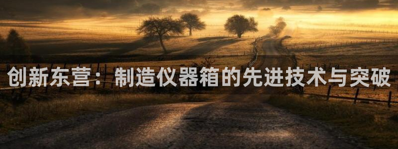 cq9电子试玩链接：创新东营：制造仪器箱的先进技术与突破