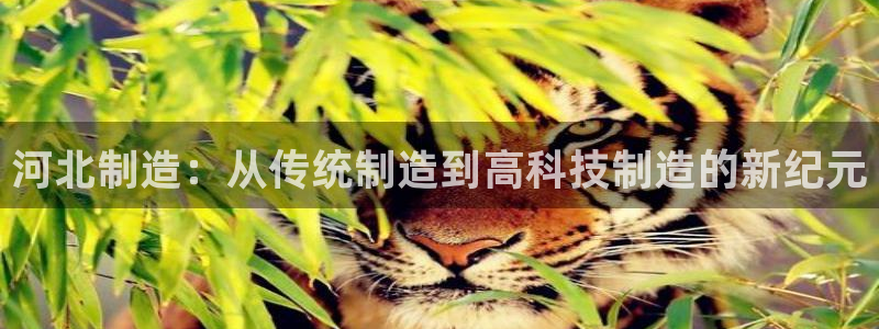 cq9传奇电子：河北制造：从传统制造到高科技制造的新纪元