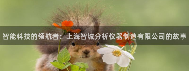 天博国际cq9电子：智能科技的领航者：上海智城分析仪器制造有