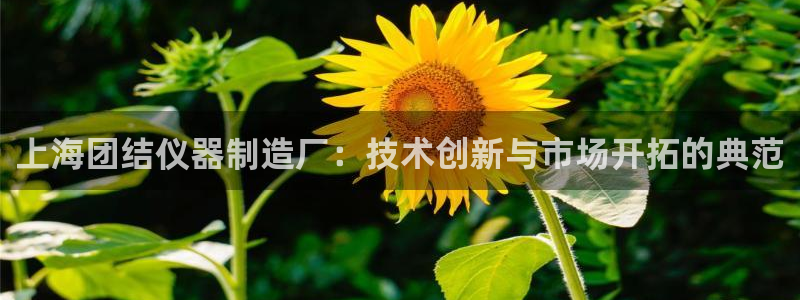 cq9传奇电子博彩网址：上海团结仪器制造厂：技术创新与市场开
