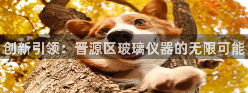 cq9电子平台网站下载：创新引领：晋源区玻璃仪器的无限可能
