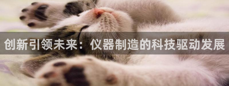 cq9电子试玩2000：创新引领未来：仪器制造的科技驱动发展