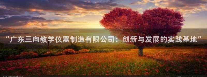 cq9电子平台登录：“广东三向教学仪器制造有限公司：创新与发