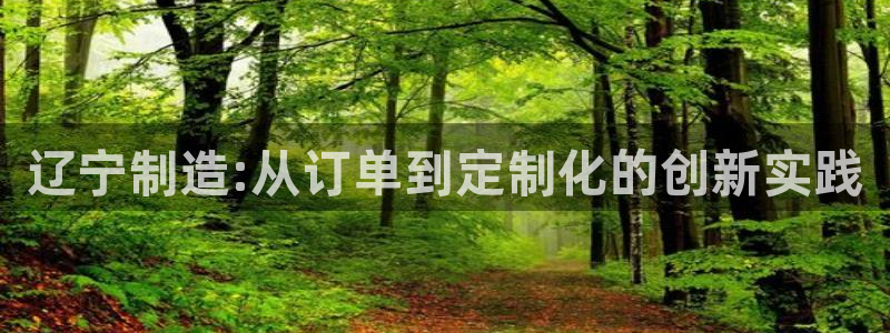 玩cq9电子的秘诀：辽宁制造:从订单到定制化的创新实践