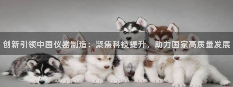 cq9电子野狼：创新引领中国仪器制造：聚焦科技提升，助力国家