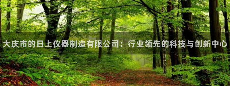 cq9传奇电子试玩：大庆市的日上仪器制造有限公司：行业领先的