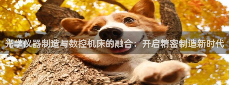 cq9电子大奖集锦：光学仪器制造与数控机床的融合：开启精密制