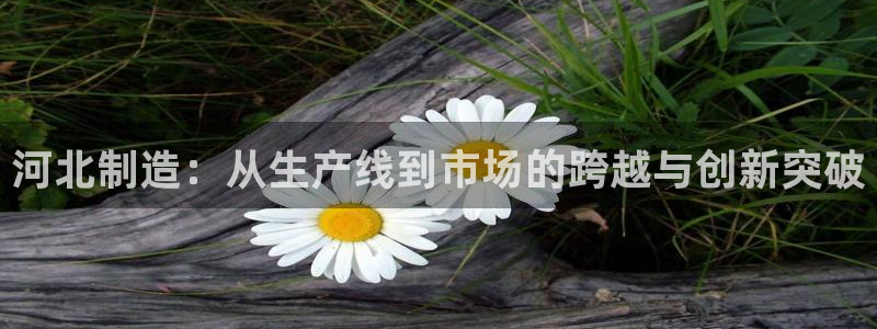 cq9电子武：河北制造：从生产线到市场的跨越与创新突破