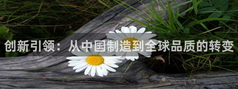 CQ9电子传奇电子：创新引领：从中国制造到全球品质的转变