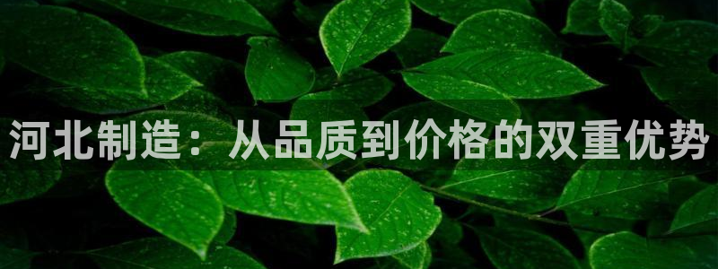 cq9 电子游艺