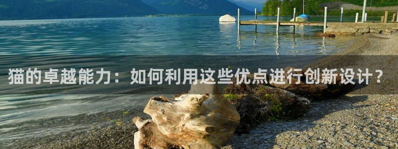 宝马cq9电子：猫的卓越能力：如何利用这些优点进行创新设计？