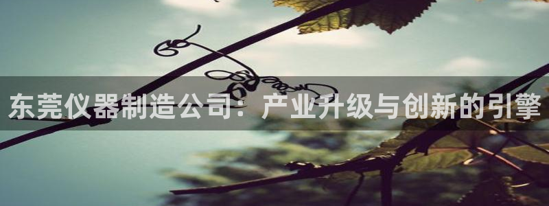 电子游艺cq9规律：东莞仪器制造公司：产业升级与创新的引擎