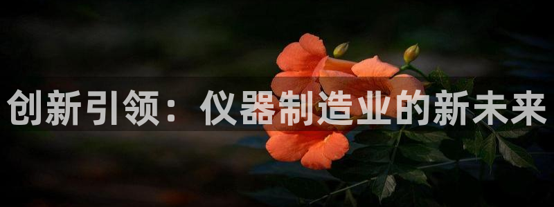 cq9电子水浒传：创新引领：仪器制造业的新未来