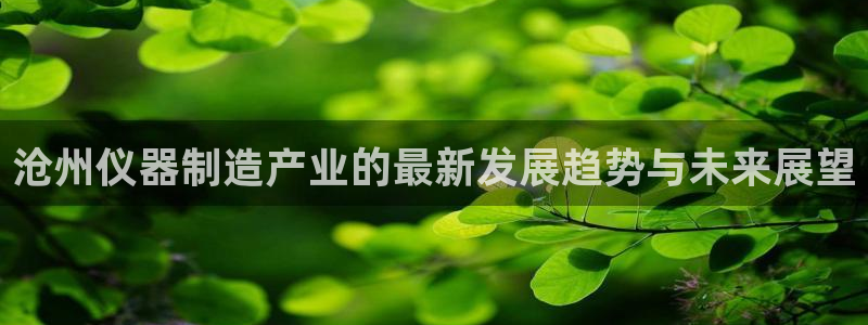 CQ9多旋转电子：沧州仪器制造产业的最新发展趋势与未来展望