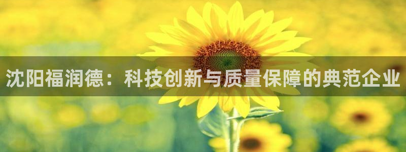 cq9电子在线：沈阳福润德：科技创新与质量保障的典范企业