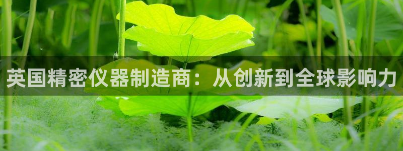 cq9电子巨星：英国精密仪器制造商：从创新到全球影响力