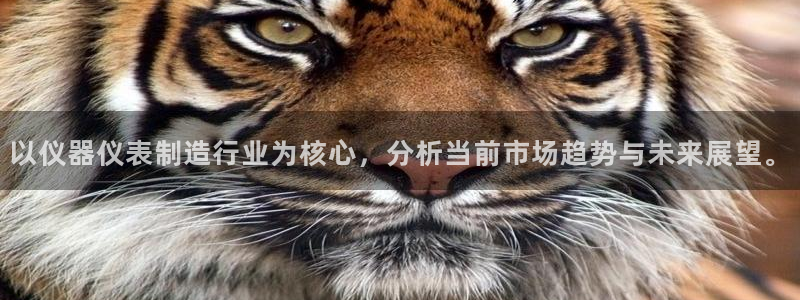 cq9传奇电子武圣：以仪器仪表制造行业为核心，分析当前市场趋