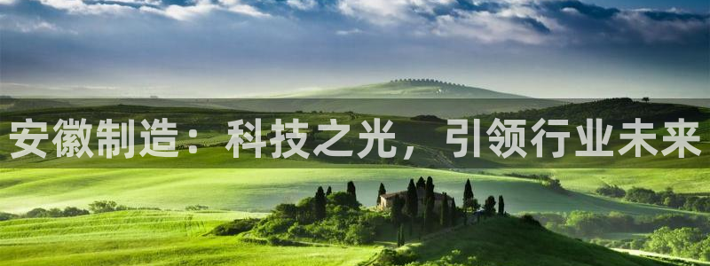 cq9电子爆分变色龙：安徽制造：科技之光，引领行业未来