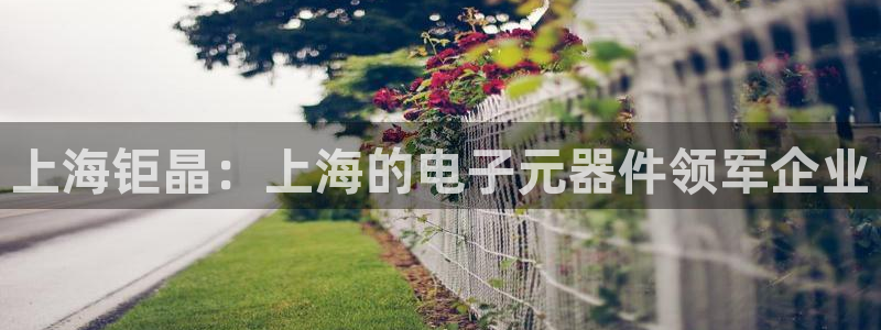 cq9电子水浒传：上海钜晶：上海的电子元器件领军企业