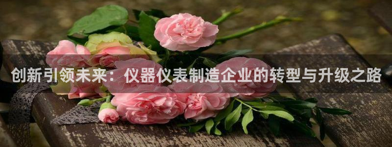 cq9电子后台揭秘：创新引领未来：仪器仪表制造企业的转型与升
