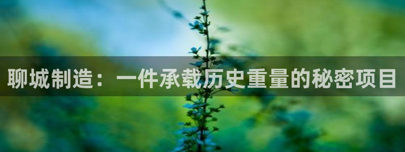 cq9电子游戏破解：聊城制造：一件承载历史重量的秘密项目