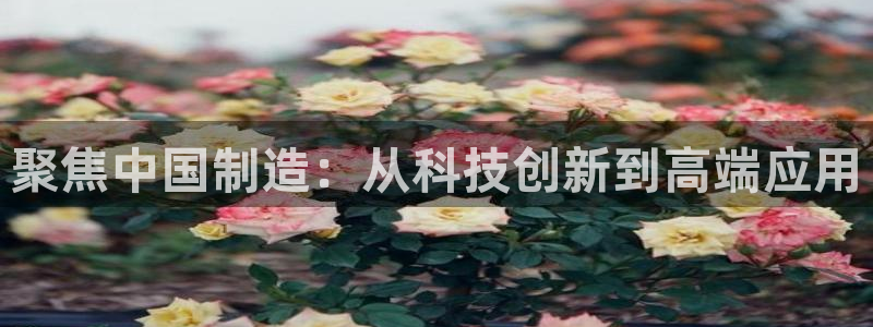 传奇电子cq9连奖：聚焦中国制造：从科技创新到高端应用