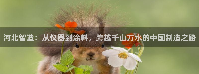 cq9电子直式蹦迪：河北智造：从仪器到涂料，跨越千山万水的中