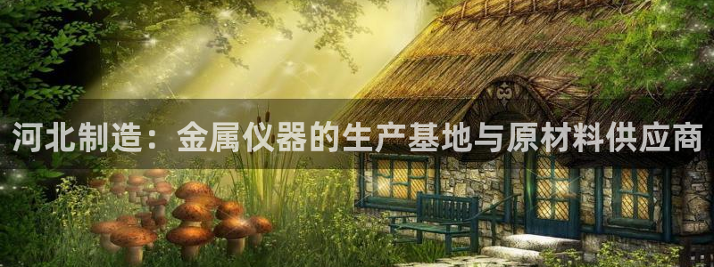 cq9电子论坛：河北制造：金属仪器的生产基地与原材料供应商