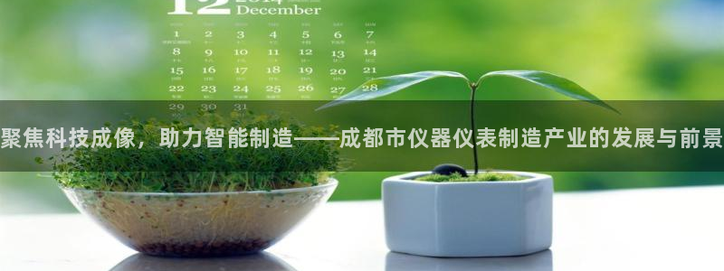 cq9电子女王：聚焦科技成像，助力智能制造——成都市仪器仪表