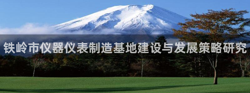 cq9传奇电子大奖：铁岭市仪器仪表制造基地建设与发展策略研究