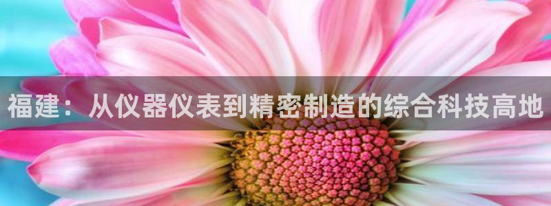 cq9传奇电子神龙秘宝：福建：从仪器仪表到精密制造的综合科技