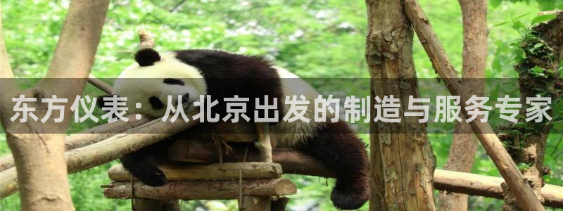 cq9电子最高倍数：东方仪表：从北京出发的制造与服务专家