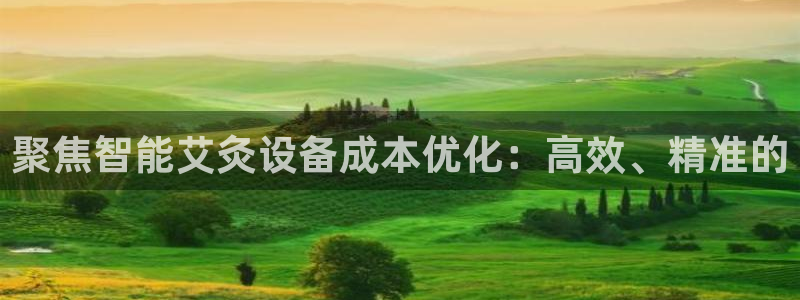水牛电子闪电cq9：聚焦智能艾灸设备成本优化：高效、精准的
