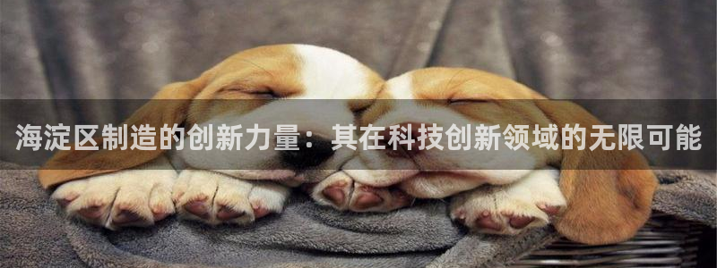 cq9电子游戏在线：海淀区制造的创新力量：其在科技创新领域的
