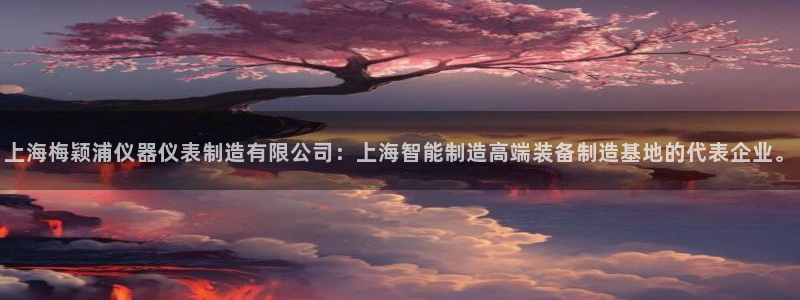 cq9电子宙斯大奖图片：上海梅颖浦仪器仪表制造有限公司：上海