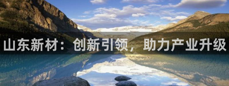 cq9电子老司机：山东新材：创新引领，助力产业升级