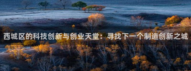 电子神龙秘宝cq9：西城区的科技创新与创业天堂：寻找下一个制