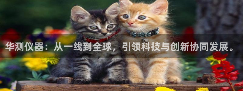 cq9电子游戏试玩链接：华测仪器：从一线到全球，引领科技与创