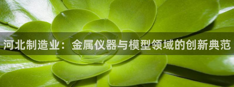 cq9电子开挂软件：河北制造业：金属仪器与模型领域的创新典范