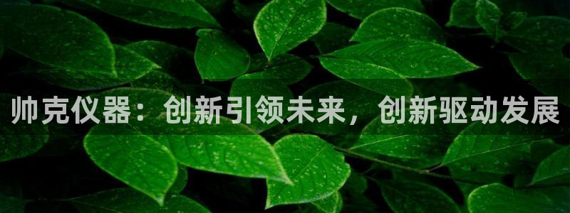 cq9电子舞蹈教学：帅克仪器：创新引领未来，创新驱动发展