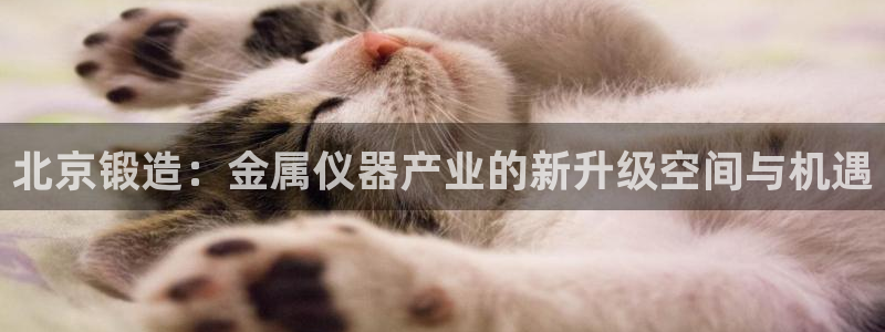 cq9电子野狼爆分视频：北京锻造：金属仪器产业的新升级空间与