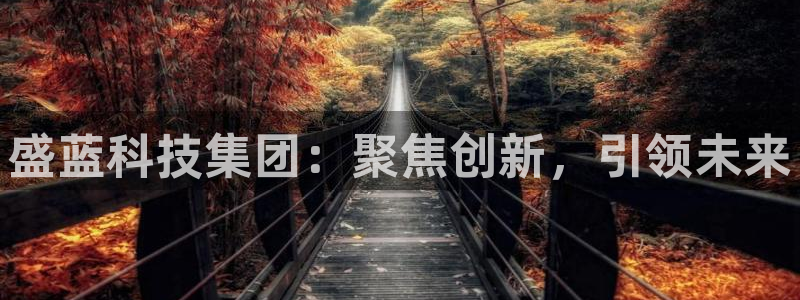 cq9电子大力神游戏：盛蓝科技集团：聚焦创新，引领未来