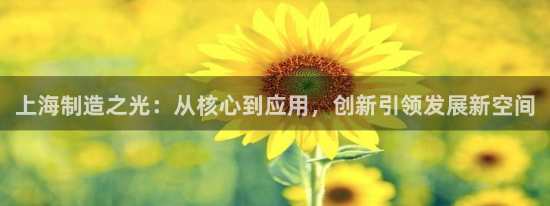 cq9电子网址：上海制造之光：从核心到应用，创新引领发展新空