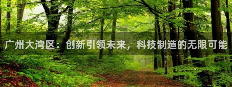 cq9电子武圣下载：广州大湾区：创新引领未来，科技制造的无限
