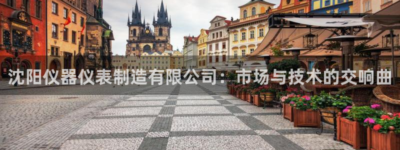 cq9传奇电子神龙：沈阳仪器仪表制造有限公司：市场与技术的交