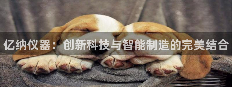 电子cq9体验试玩：亿纳仪器：创新科技与智能制造的完美结合