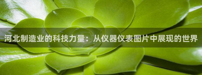 cq9电子最好的平台